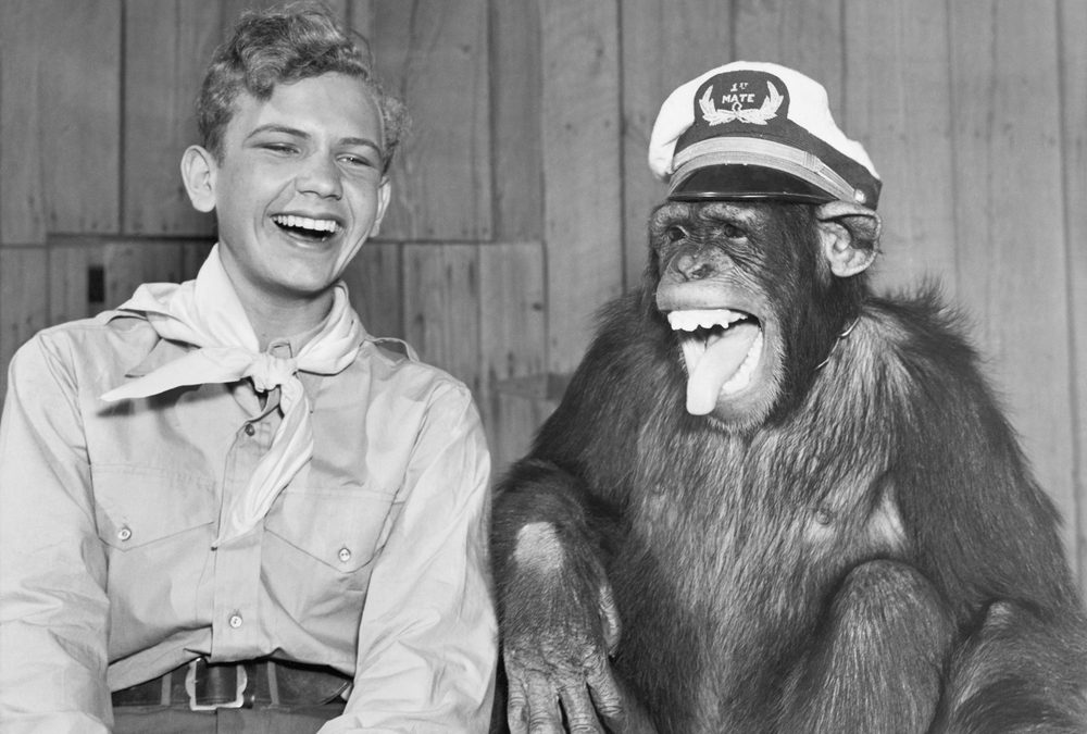 How often do you laugh?