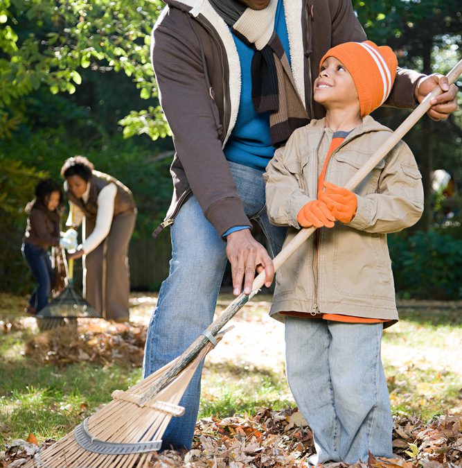 Help a neighbour out