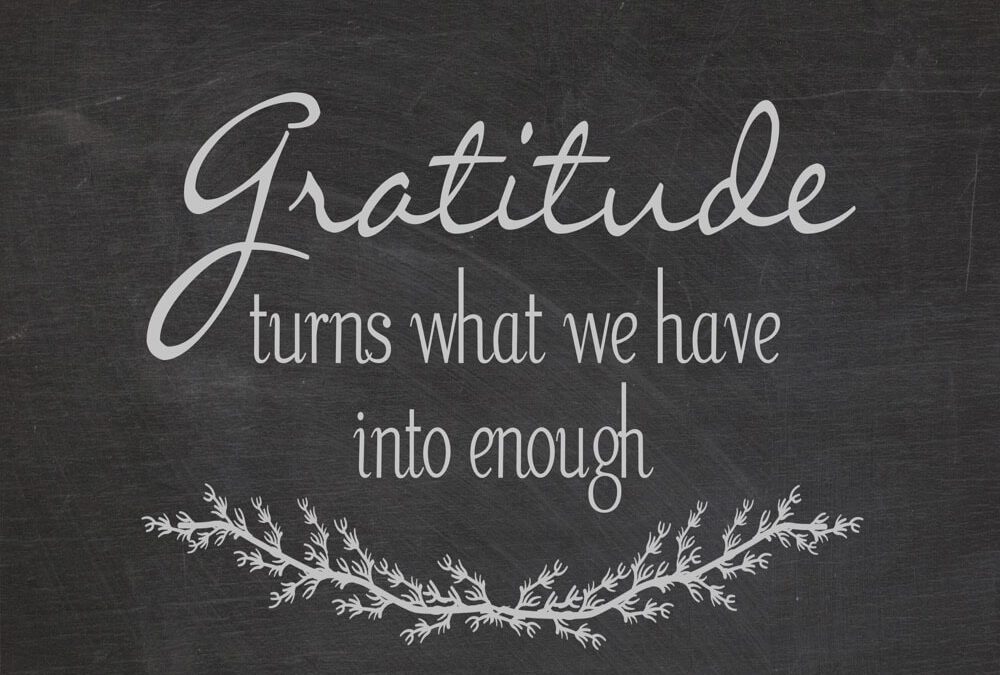 Take Time To Hear The Frogs