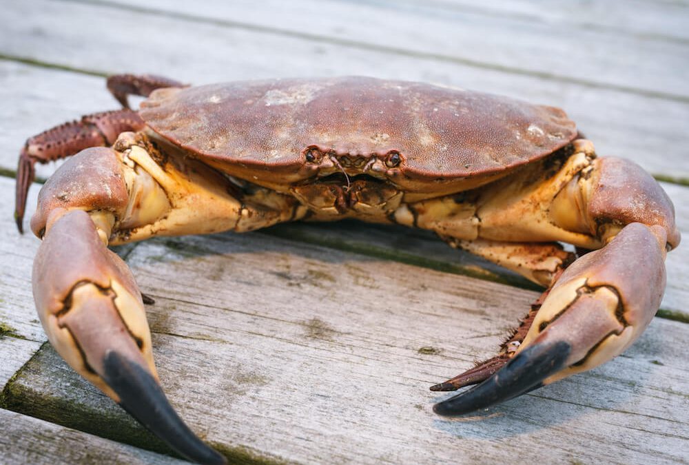 Goal Setting: Preparing Yourself For Your Best Success!