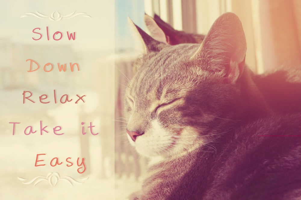 Give Yourself A Break! Making Progress Is Hard To Do